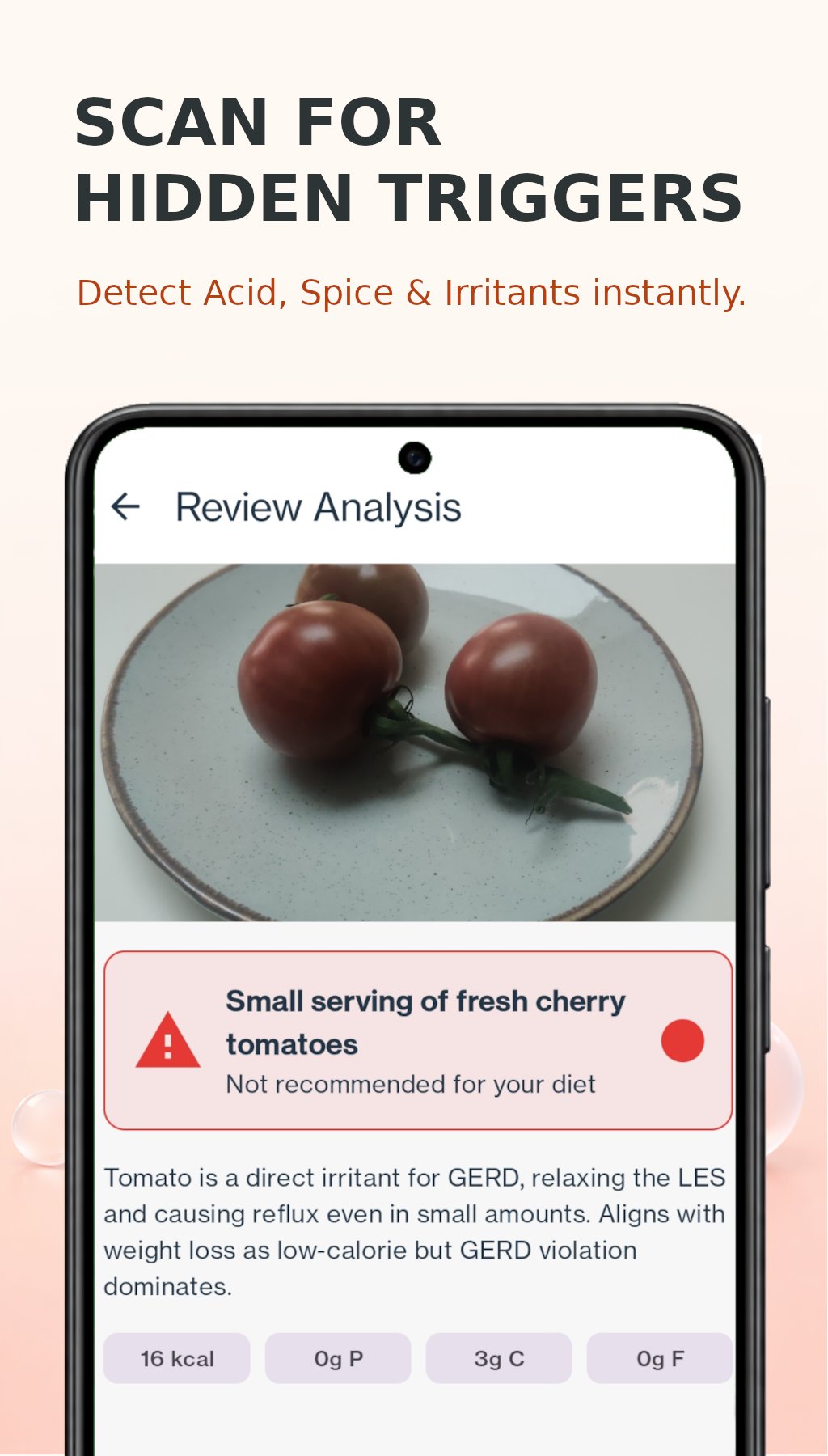 DietVox scanning cherry tomatoes with detailed food analysis and GERD warning